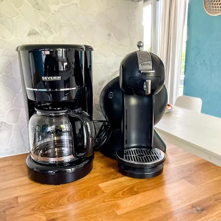 The Kingfisher Near And Dunes Hargen And Schoorl *