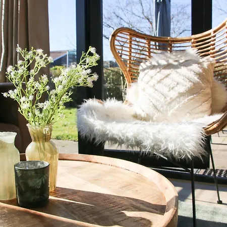 The Kingfisher Near And Dunes Hargen And Schoorl * Dirkshorn