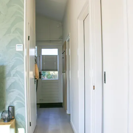 The Kingfisher Near And Dunes Hargen And Schoorl * Dirkshorn