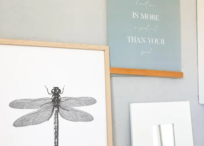 The Kingfisher Near And Dunes Hargen And Schoorl Holiday home *