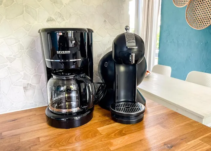 The Kingfisher Near And Dunes Hargen And Schoorl *