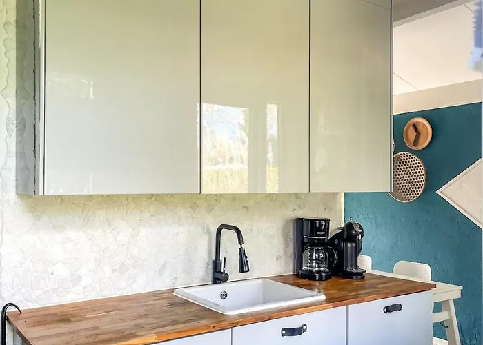 The Kingfisher Near And Dunes Hargen And Schoorl *