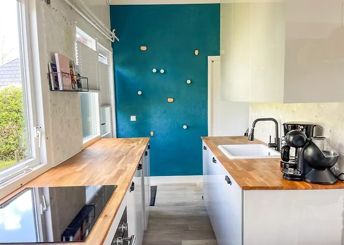 The Kingfisher Near And Dunes Hargen And Schoorl Dirkshorn