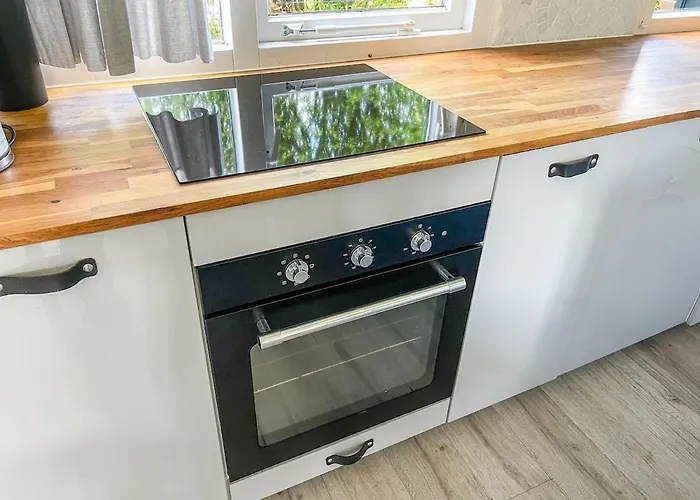 The Kingfisher Near And Dunes Hargen And Schoorl