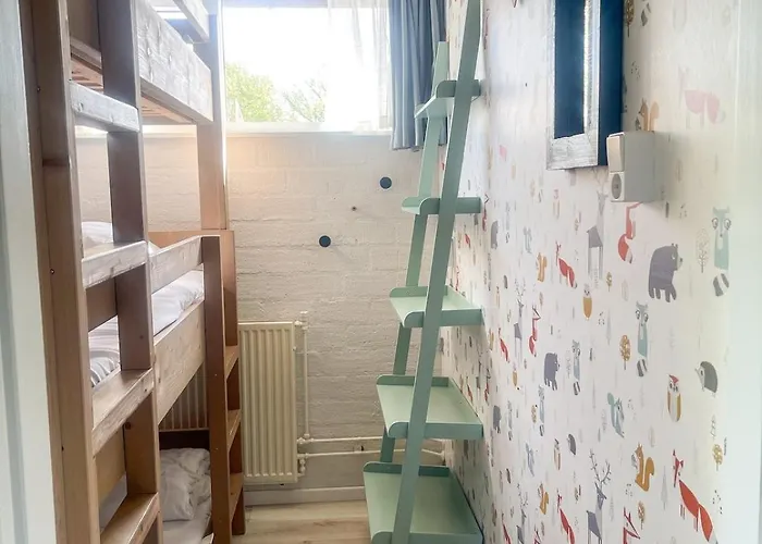 The Kingfisher Near And Dunes Hargen And Schoorl * Dirkshorn