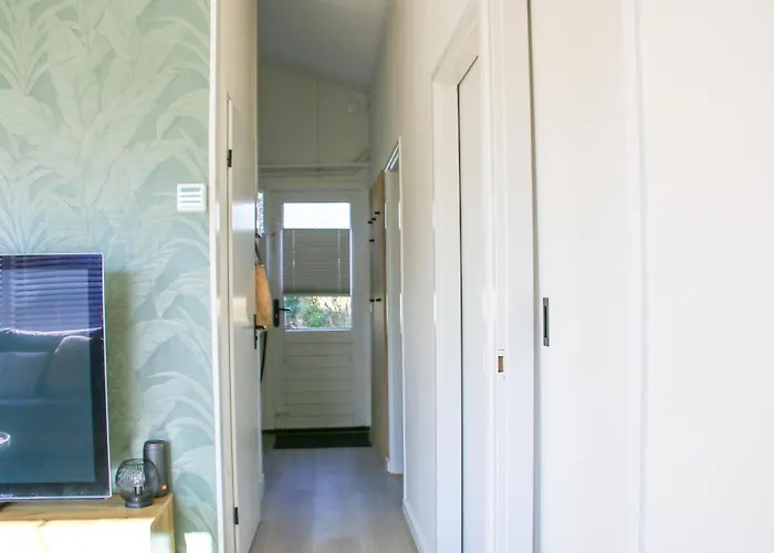 The Kingfisher Near And Dunes Hargen And Schoorl * Dirkshorn