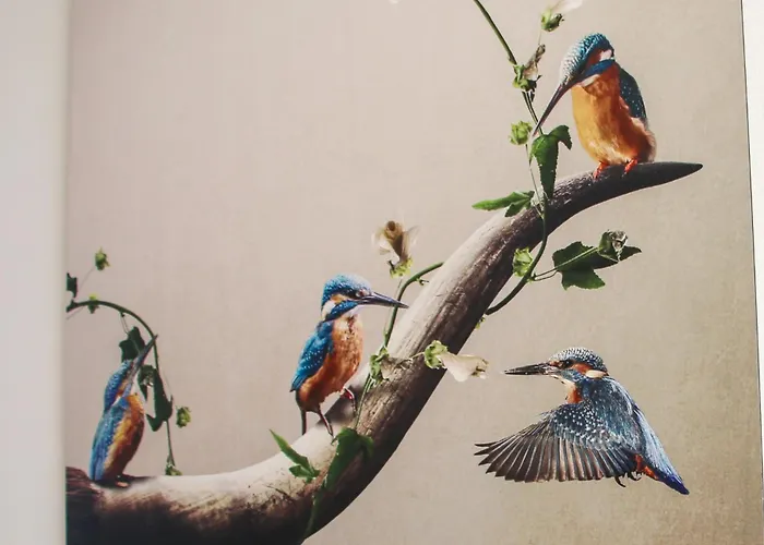 Holiday home The Kingfisher Near And Dunes Hargen And Schoorl