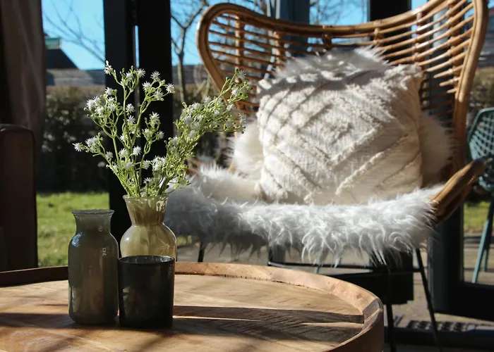 The Kingfisher Near And Dunes Hargen And Schoorl *