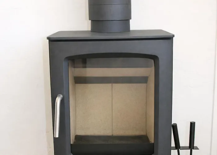 The Kingfisher Near And Dunes Hargen And Schoorl * Dirkshorn