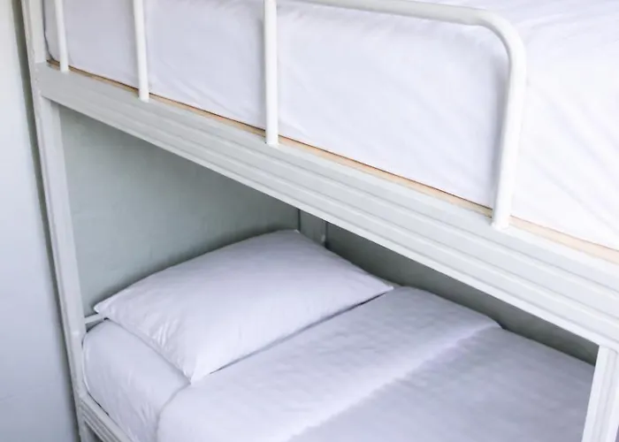 The Kingfisher Near And Dunes Hargen And Schoorl * Dirkshorn