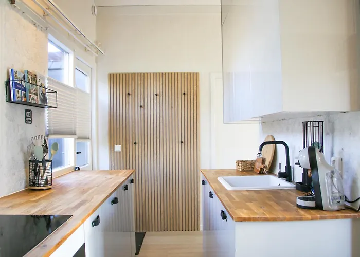 The Kingfisher Near And Dunes Hargen And Schoorl * Dirkshorn