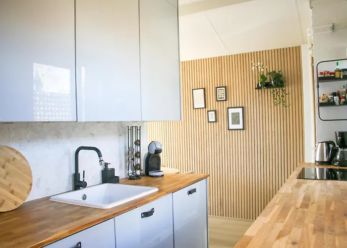 The Kingfisher Near And Dunes Hargen And Schoorl * Dirkshorn